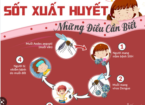 Đẩy mạnh công tác truyền thông chủ động phòng chống sốt xuất huyết, tay chân miệng